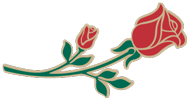 Rose Icon (Color)